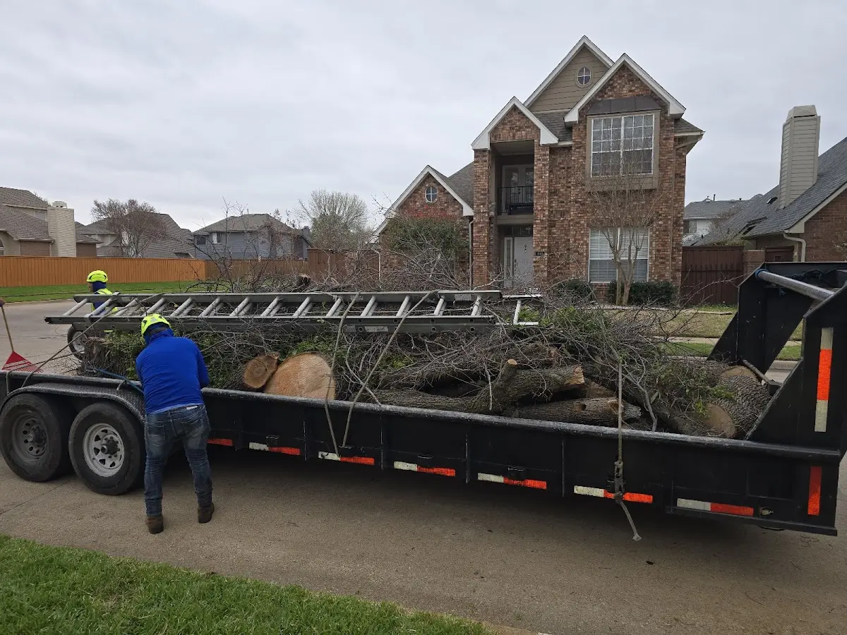 Expert Lot Clearing with proper safety equipment in Plains